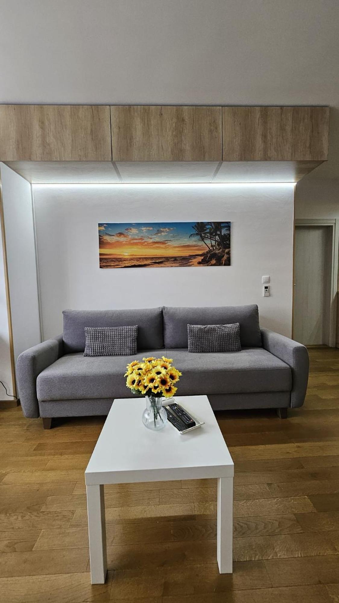 Porodicno-Poslovni Udoban Stan Apartment Belgrade Exterior photo