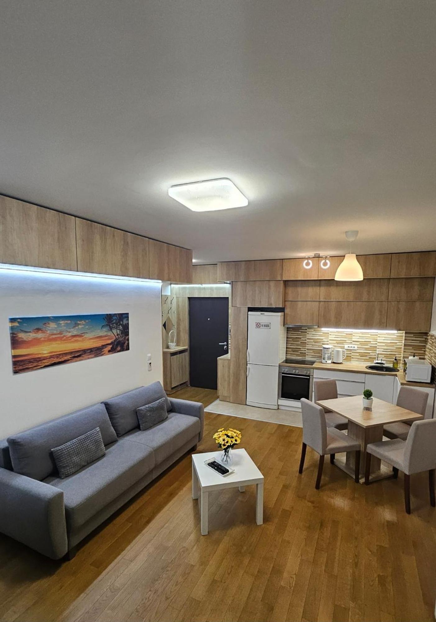 Porodicno-Poslovni Udoban Stan Apartment Belgrade Exterior photo